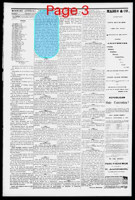 Page thumbnail for Morning Appeal