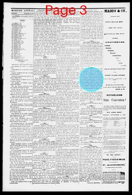 Page thumbnail for Morning Appeal