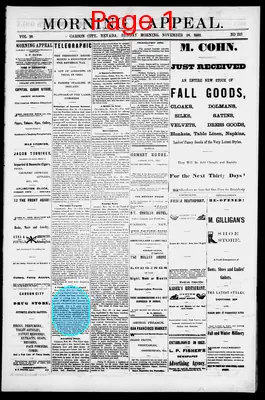 Page thumbnail for Morning Appeal