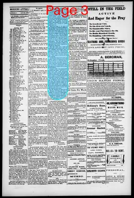 Page thumbnail for Morning Appeal