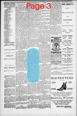 Page thumbnail for Morning Appeal
