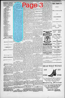Page thumbnail for Morning Appeal