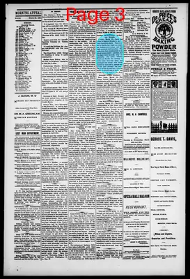 Page thumbnail for Morning Appeal