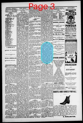 Page thumbnail for Morning Appeal