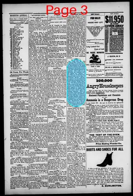 Page thumbnail for Morning Appeal