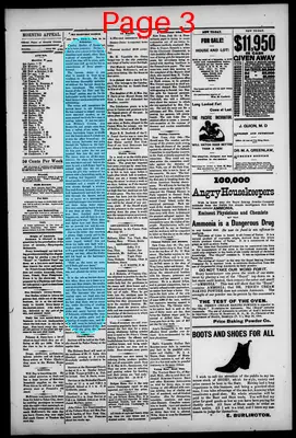 Page thumbnail for Morning Appeal