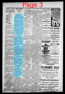 Page thumbnail for Morning Appeal