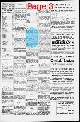 Page thumbnail for Morning Appeal