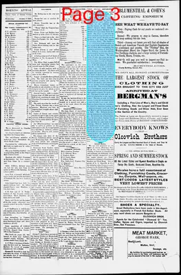 Page thumbnail for Morning Appeal
