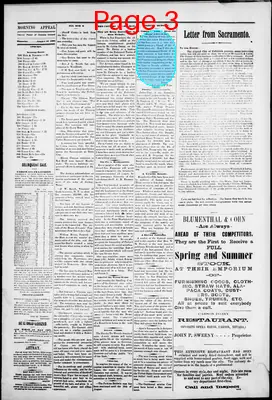 Page thumbnail for Morning Appeal