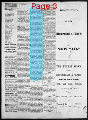 Page thumbnail for Morning Appeal