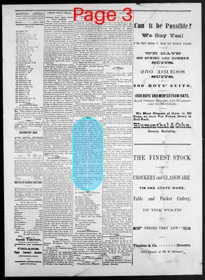 Page thumbnail for Morning Appeal