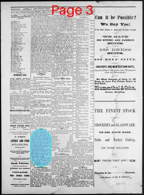 Page thumbnail for Morning Appeal