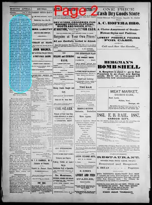 Page thumbnail for Morning Appeal