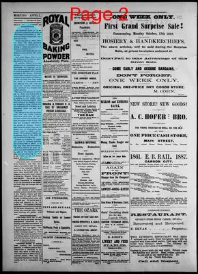 Page thumbnail for Morning Appeal
