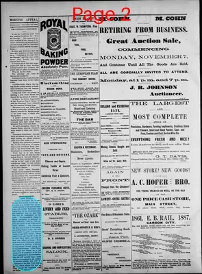 Page thumbnail for Morning Appeal
