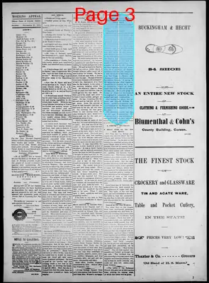 Page thumbnail for Morning Appeal