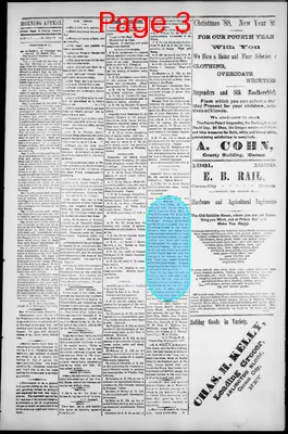 Page thumbnail for Morning Appeal