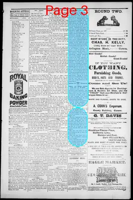 Page thumbnail for Morning Appeal