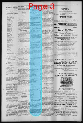 Page thumbnail for Morning Appeal