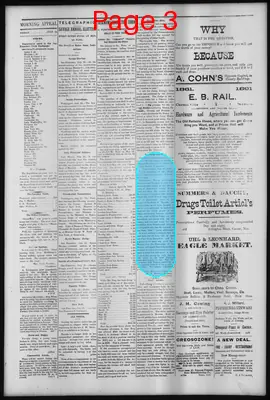 Page thumbnail for Morning Appeal