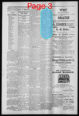 Page thumbnail for Morning Appeal