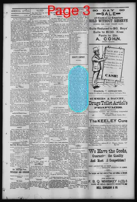 Page thumbnail for Morning Appeal