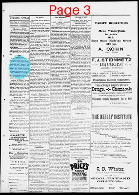 Page thumbnail for Morning Appeal