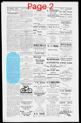 Page thumbnail for Morning Appeal