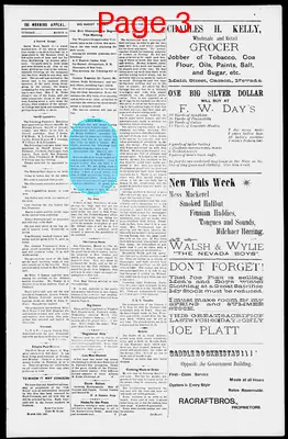 Page thumbnail for Morning Appeal