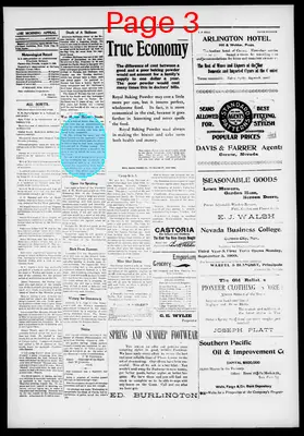 Page thumbnail for Morning Appeal
