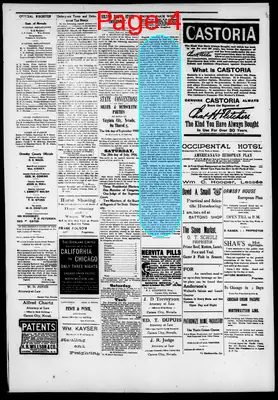 Page thumbnail for Morning Appeal