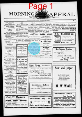 Page thumbnail for Morning Appeal