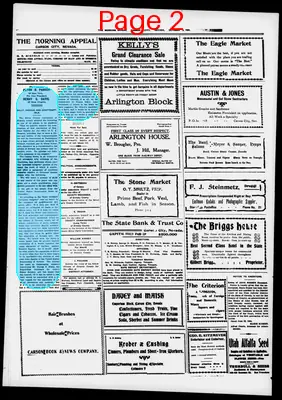 Page thumbnail for Morning Appeal