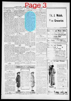 Page thumbnail for Morning Appeal