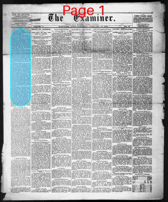Page thumbnail for The Examiner