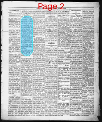 Page thumbnail for The Examiner