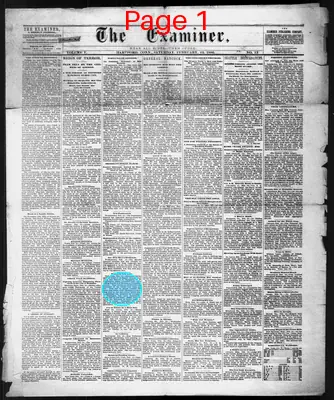 Page thumbnail for The Examiner