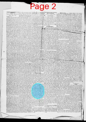 Page thumbnail for New England Artisan, And Laboring Man's Repository