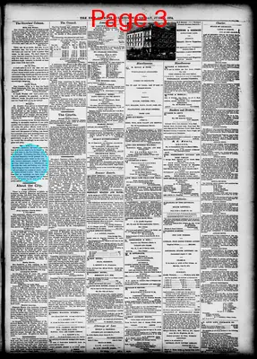 Page thumbnail for The New Orleans Bulletin