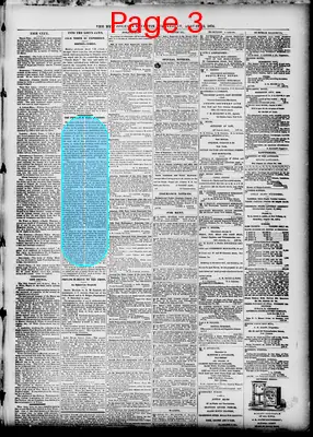 Page thumbnail for The New Orleans Bulletin