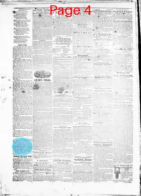 Page thumbnail for Plymouth Advertiser