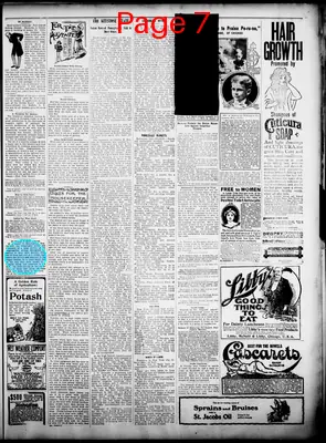 Page thumbnail for The Fulton County News