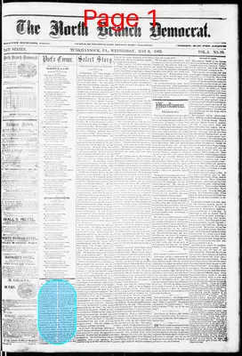 Page thumbnail for North Branch Democrat