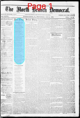 Page thumbnail for North Branch Democrat