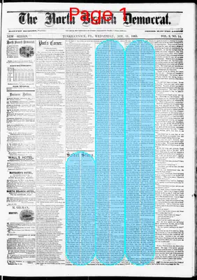 Page thumbnail for North Branch Democrat