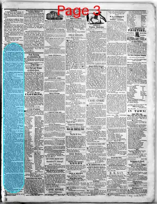 Page thumbnail for Des Moines Courier