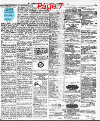 Page thumbnail for The Morning Star And Catholic Messenger