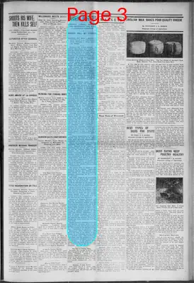 Page thumbnail for Wauwatosa News