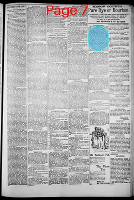 Page thumbnail for The Copper Country Evening News